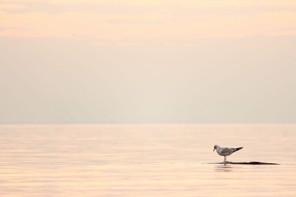 Photograph by Никита Иванов