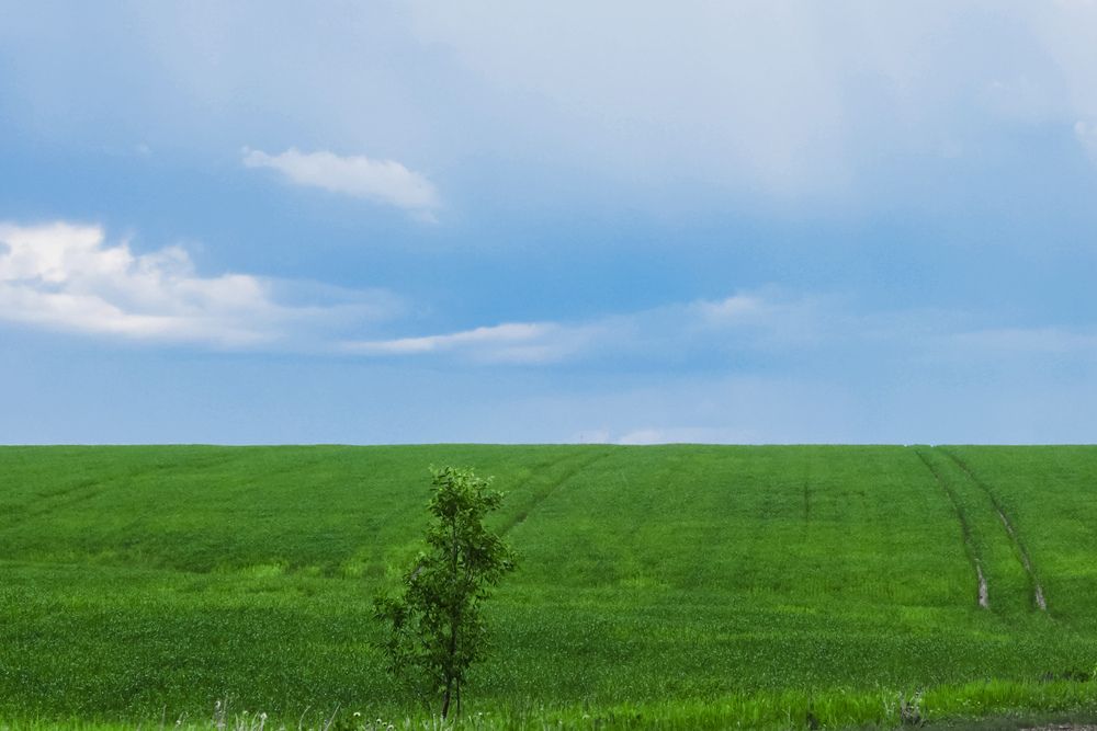 Photograph by Алексей Голубев