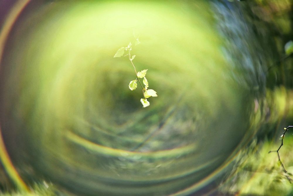Photograph by Татьяна Павлова