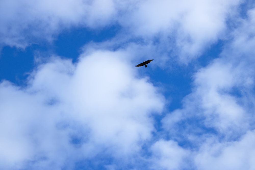 Photograph by Алексей Пяткин