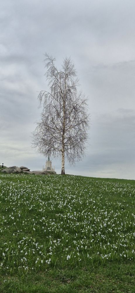 Photograph by Ольга Мусина