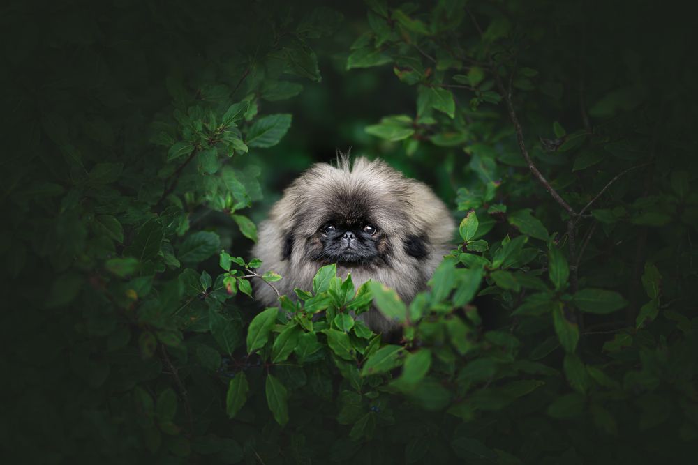 Photograph by Rut Casanellas
