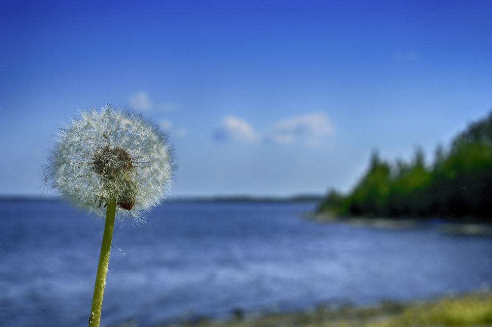 Photograph by Ирина Александрович