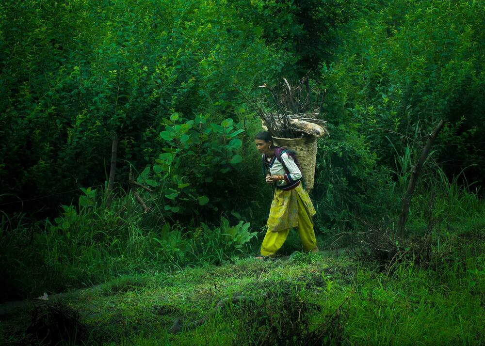Photograph by Adarsh Kuruvath