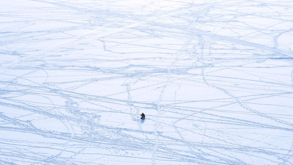 Photograph by Даря Ивушкина
