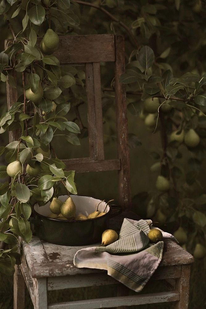 Photograph by Liliya Rodionova