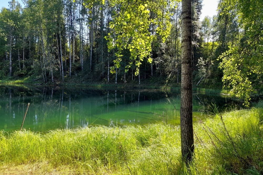 Photograph by Ольга Березовская