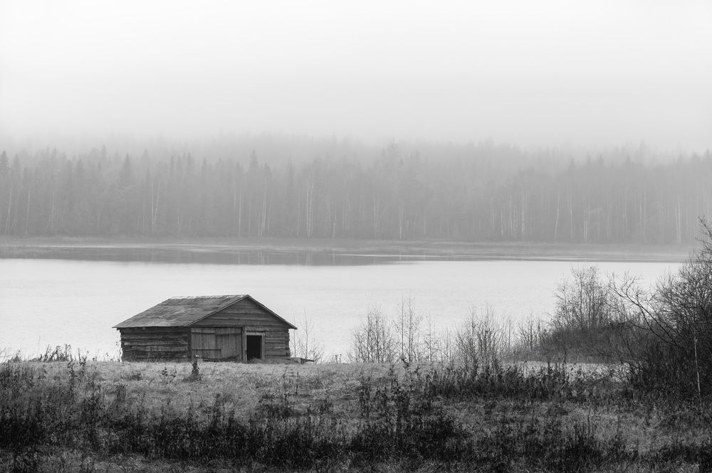 Photograph by Алексей Турчин