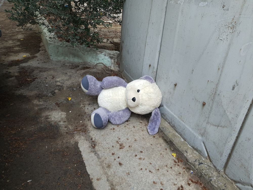 Lonely Teddy