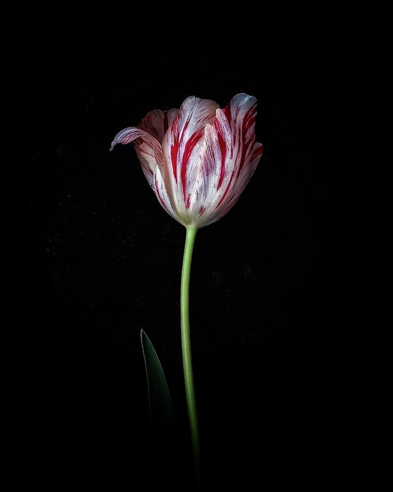 Photograph by Марина Мальцева