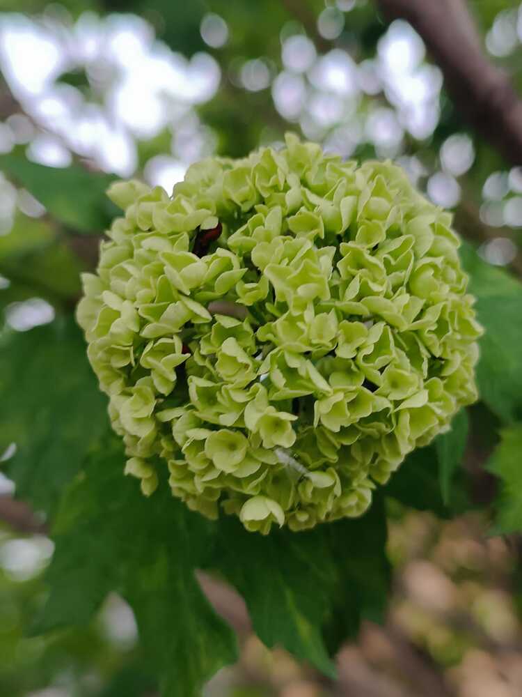 Photograph by Елена Колышева