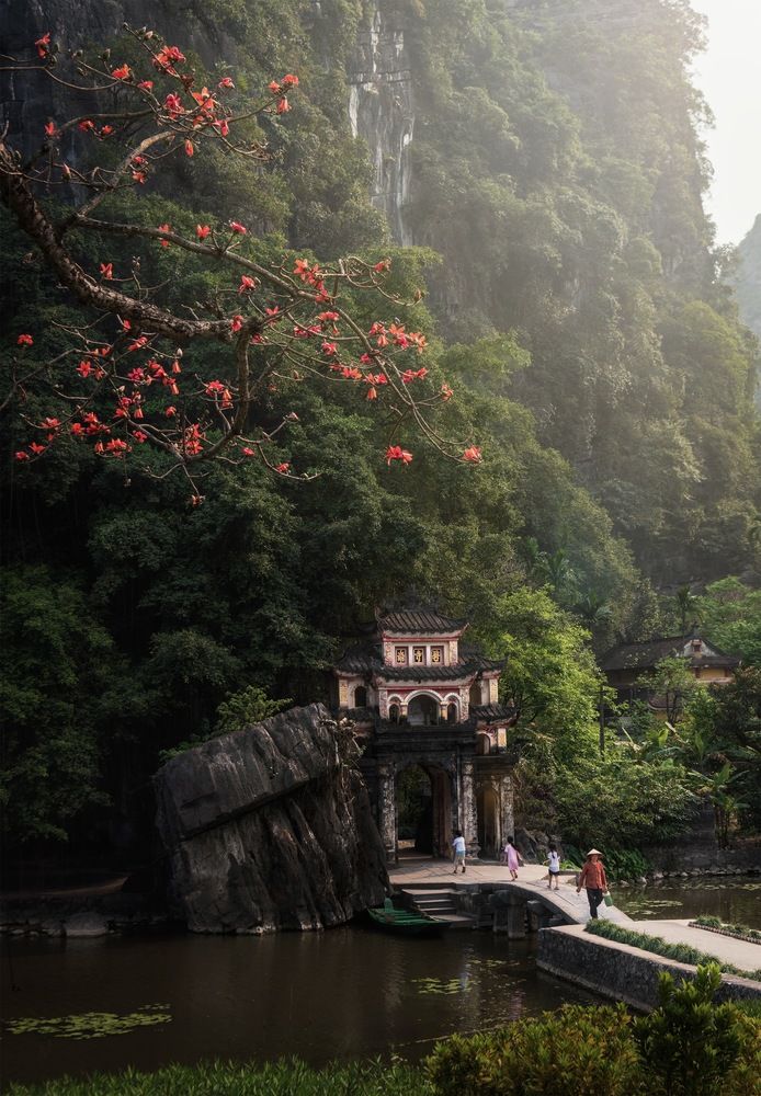 Photograph by Tran Linh