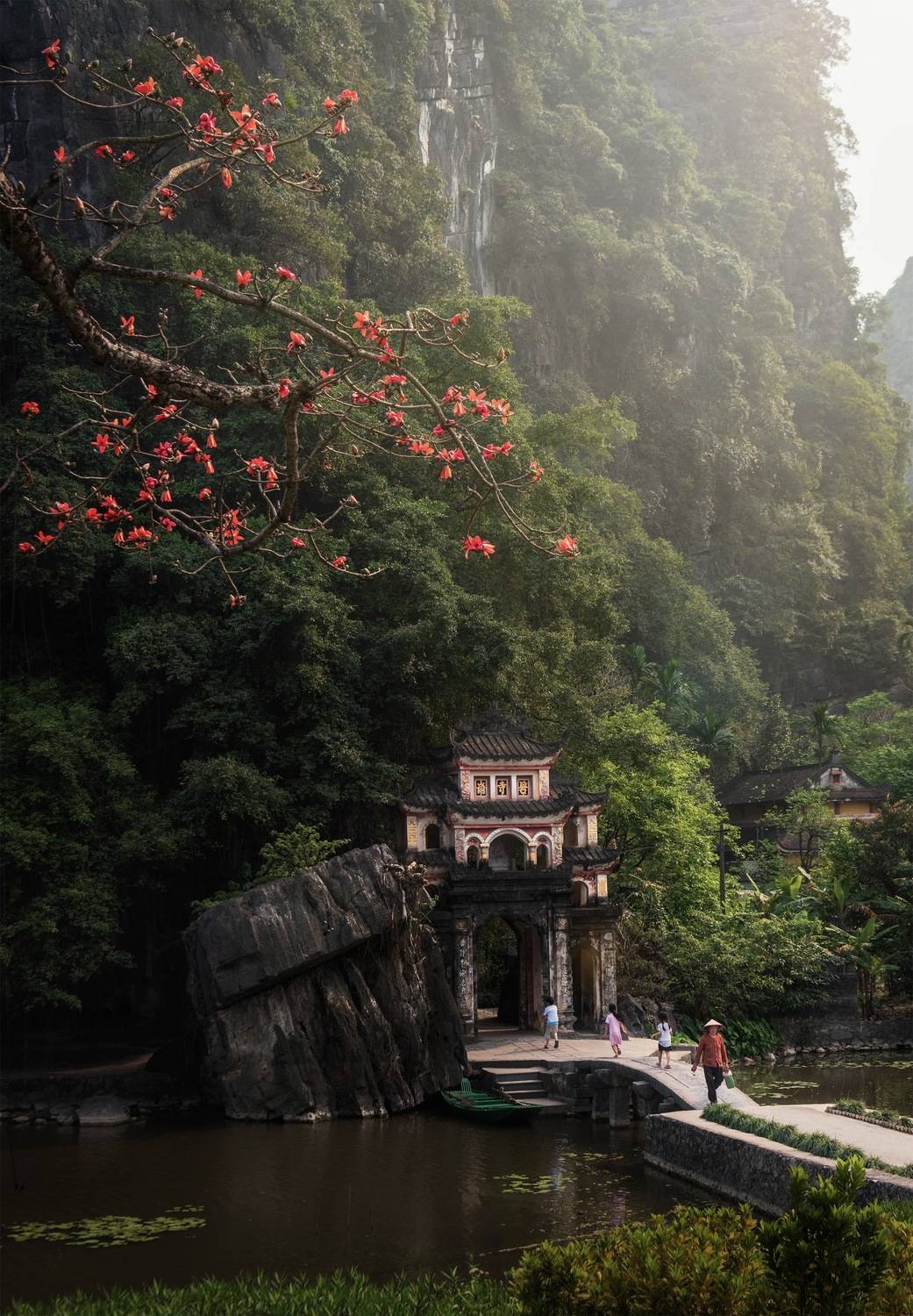 Photo #13645343