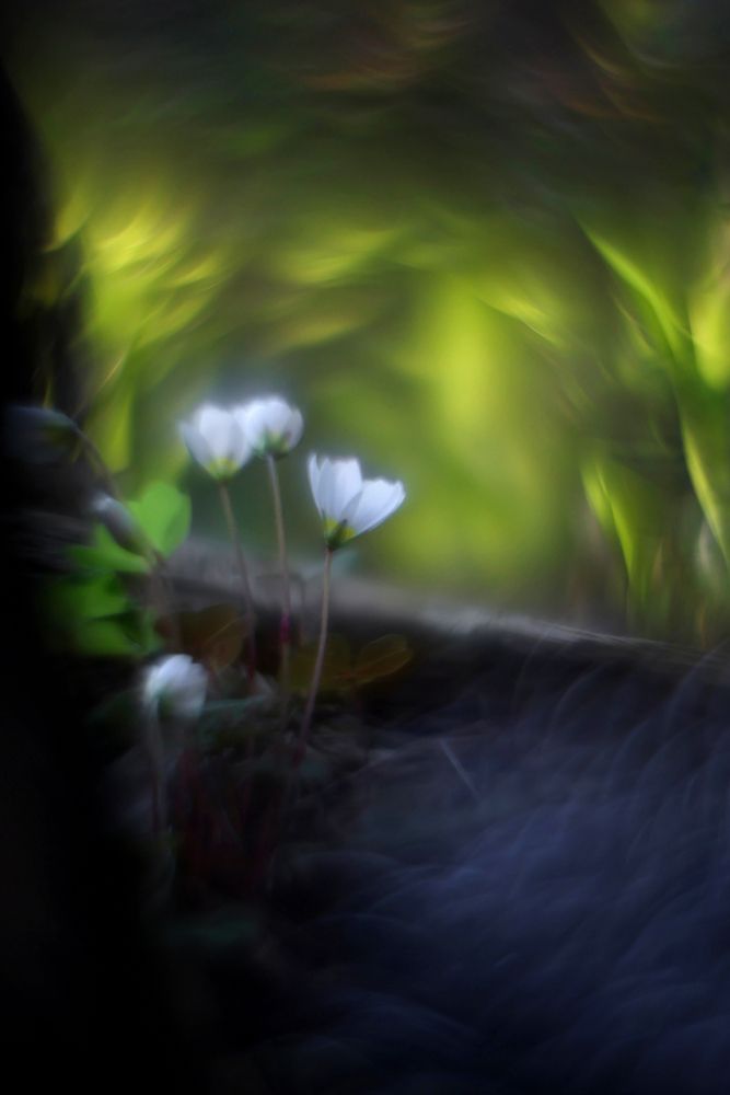 Photograph by Наталья Илюхина