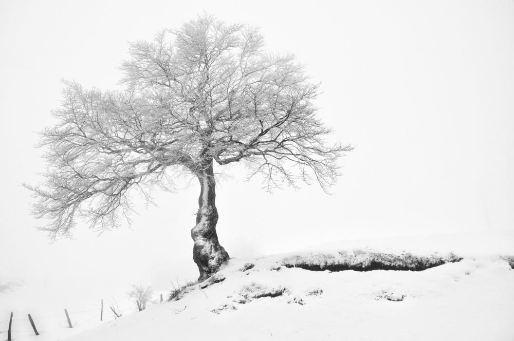 Photograph by James Mossali