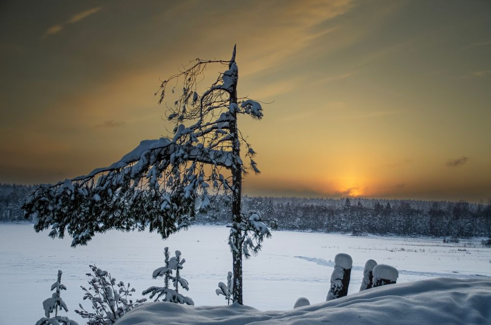 Photograph by Анастасия Махова
