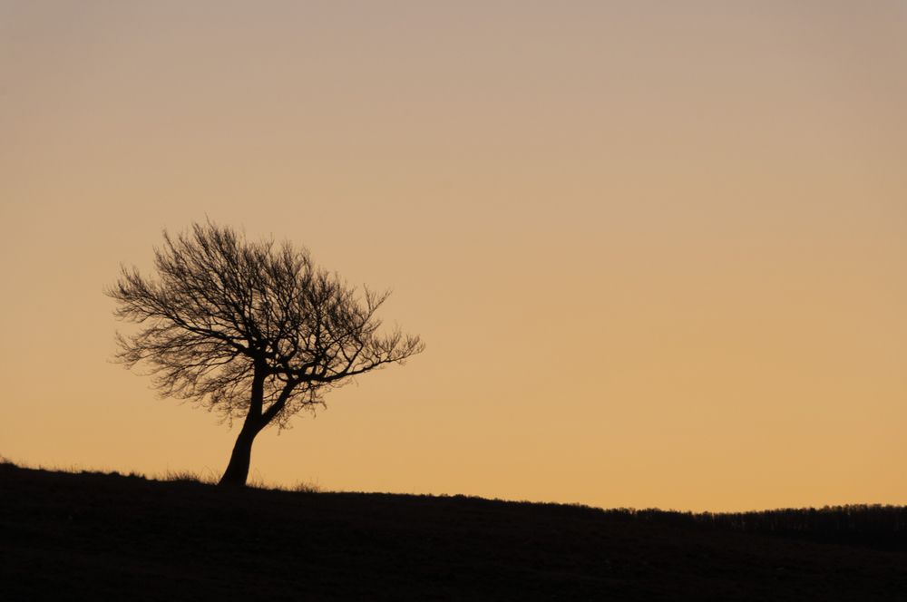Photograph by James Mossali