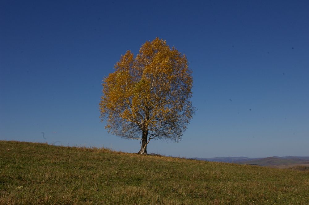 Photograph by Елена Алешкевич