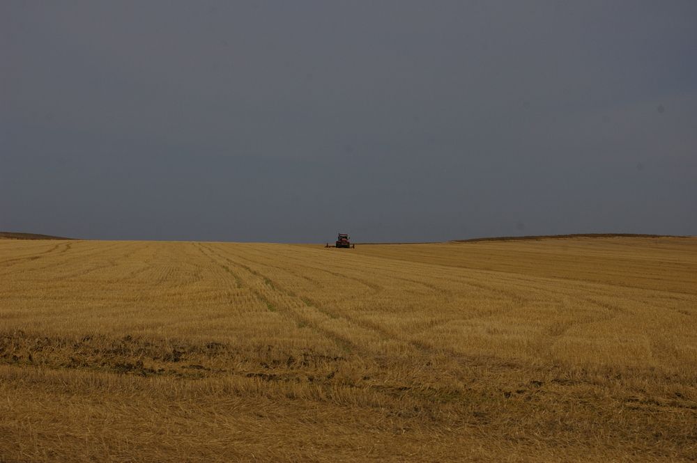 Photograph by Елена Алешкевич