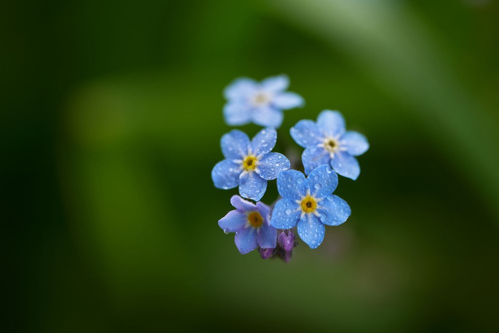 Photograph by Игорь Белов