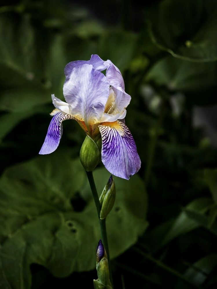 Photograph by Наталья Фирсова