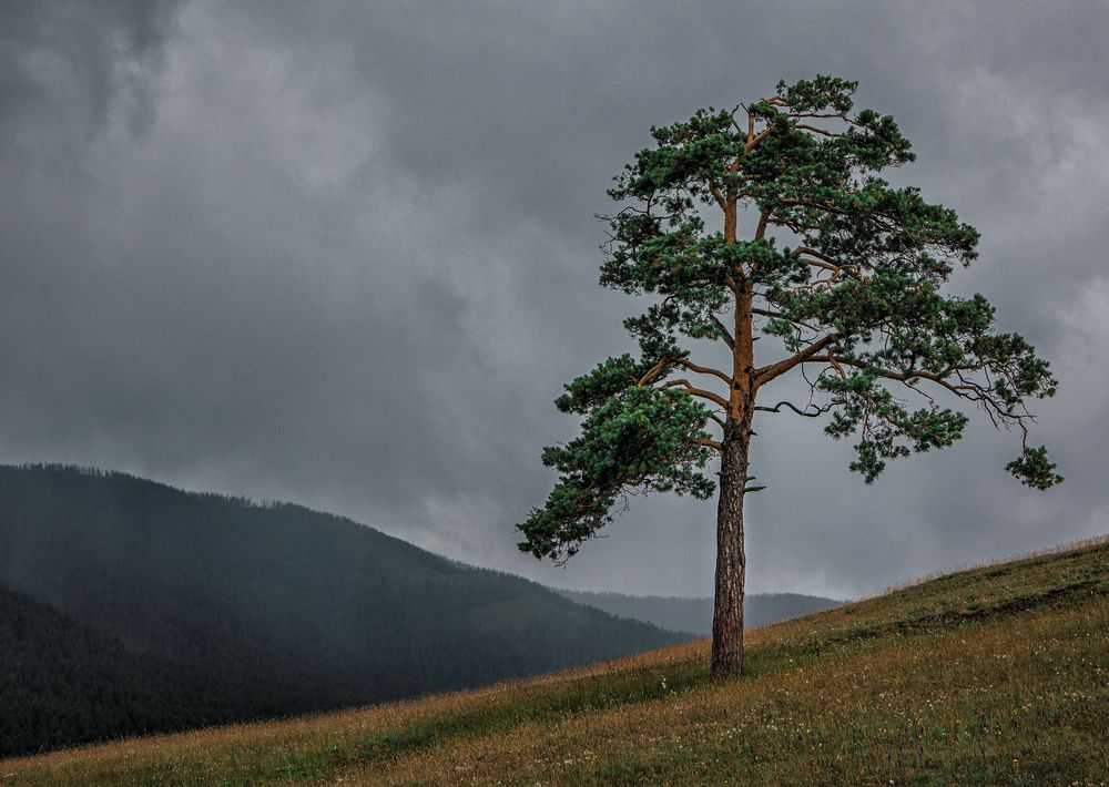 Photograph by Елена Титенская