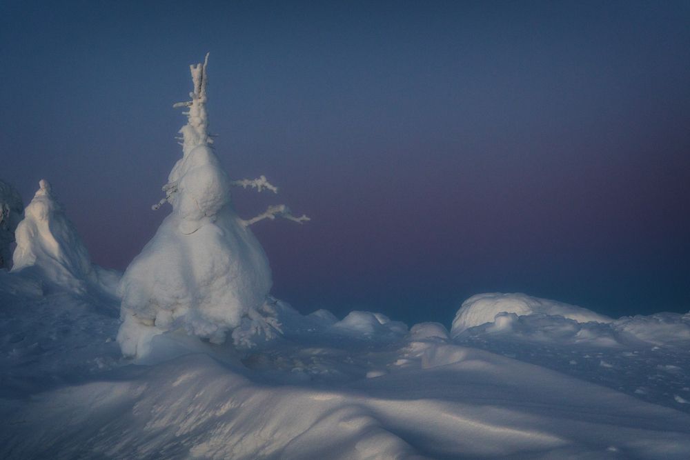 Photograph by Елена Титенская