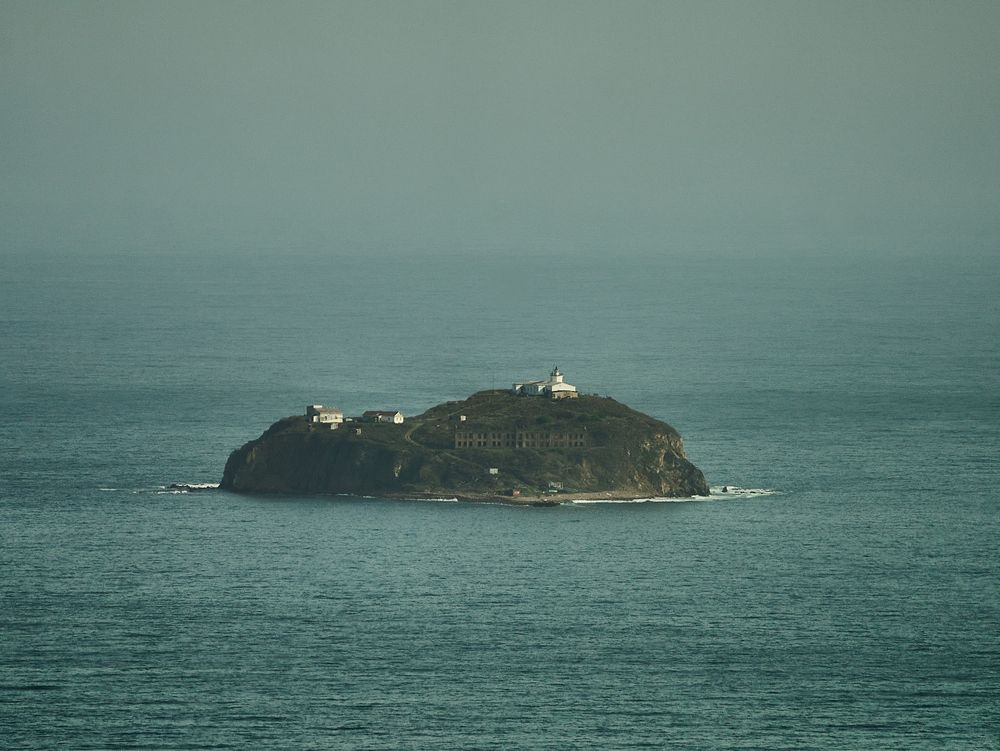 Photograph by Лариса Н