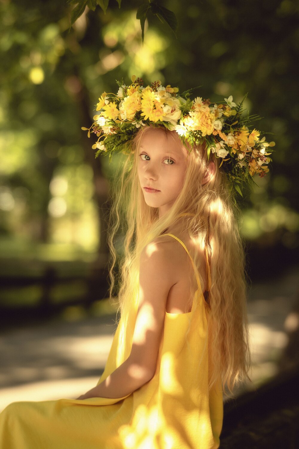 Photo #13645608