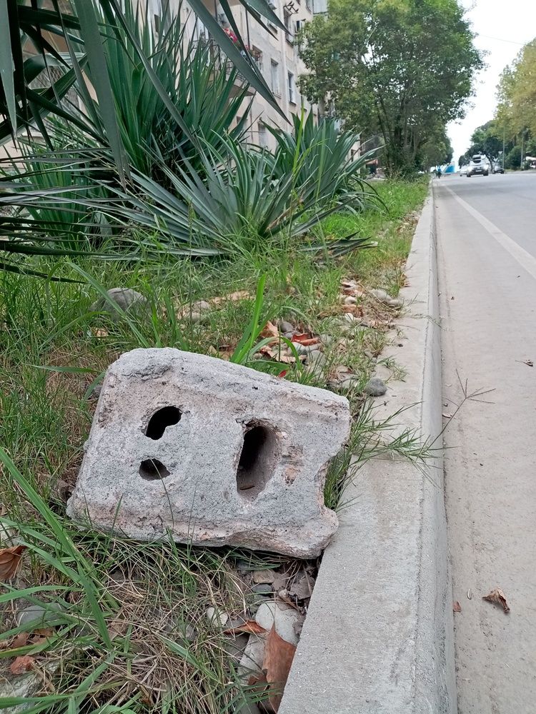 Вижу