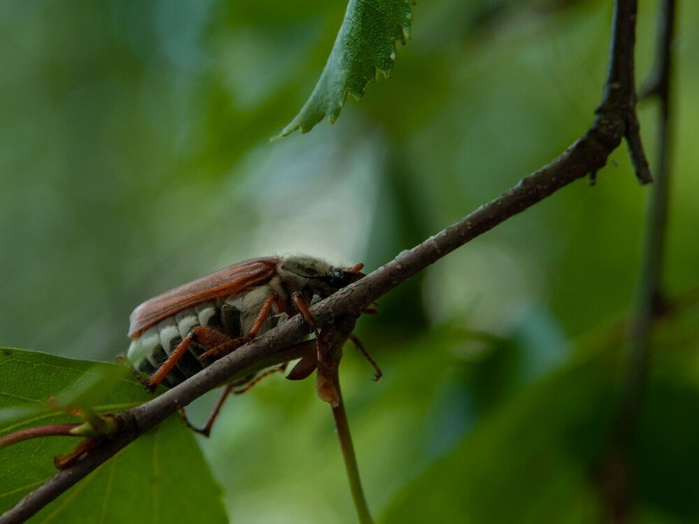 Photograph by Нина Фролова