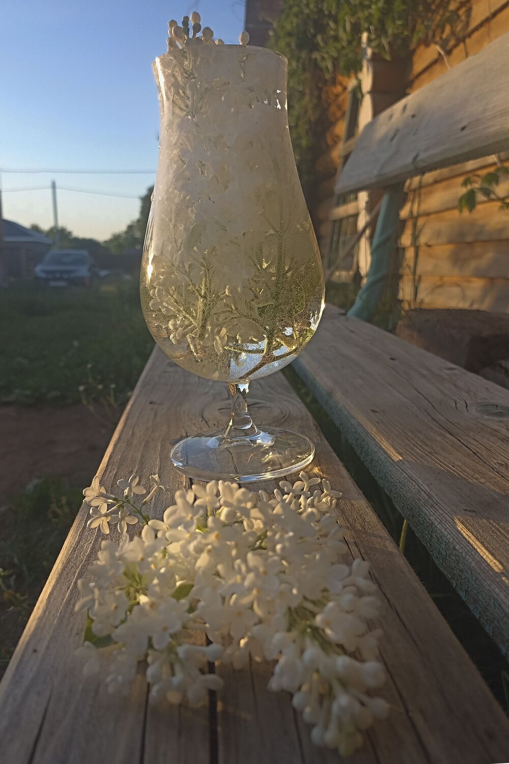 Photo #13645711