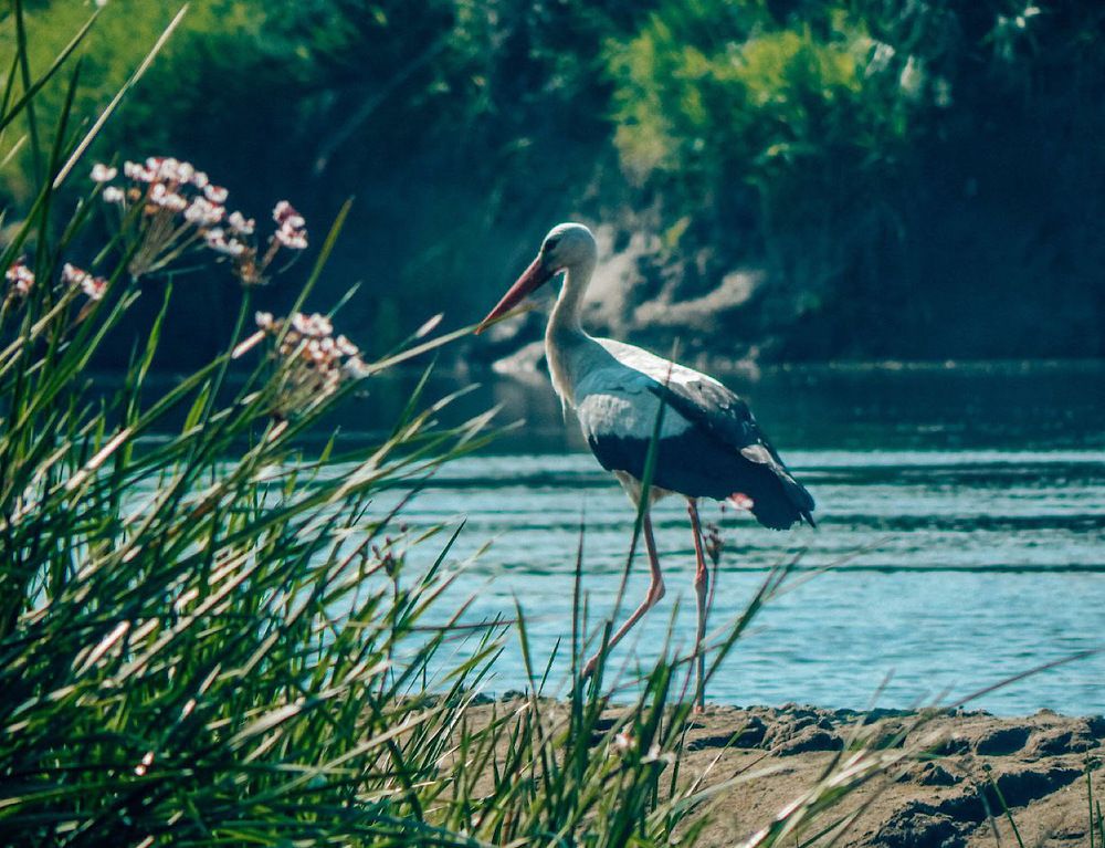Photograph by Виктория Сергейко