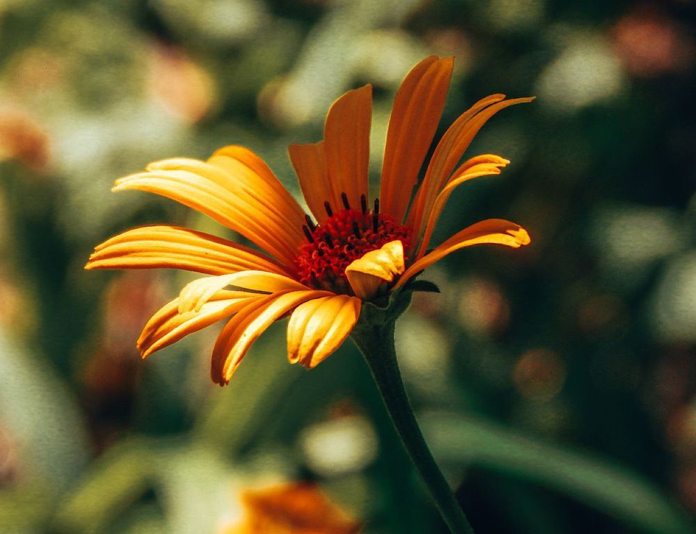 Photograph by Виктория Сергейко