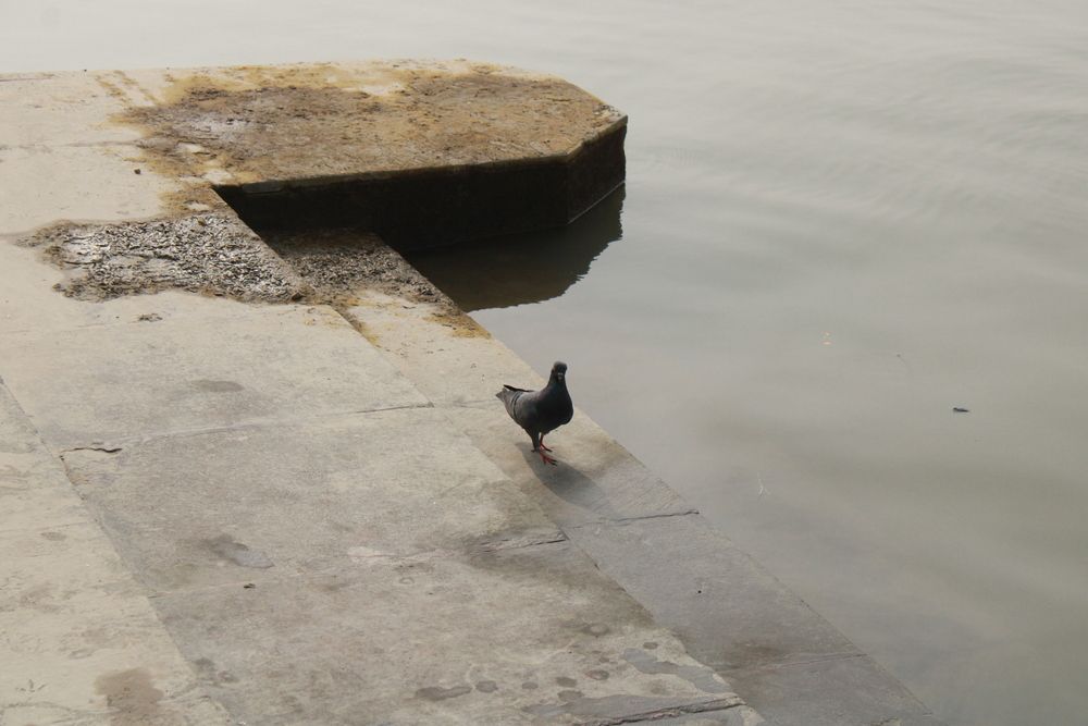 Photograph by Partha Poddar