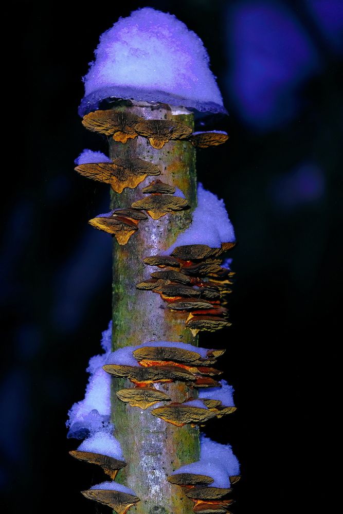 Photograph by Владимир Кирсанов