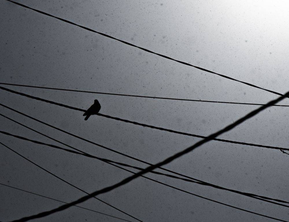 Photograph by Павел Ващилов