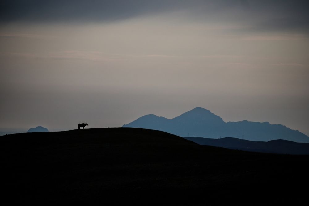 Photo #13645865