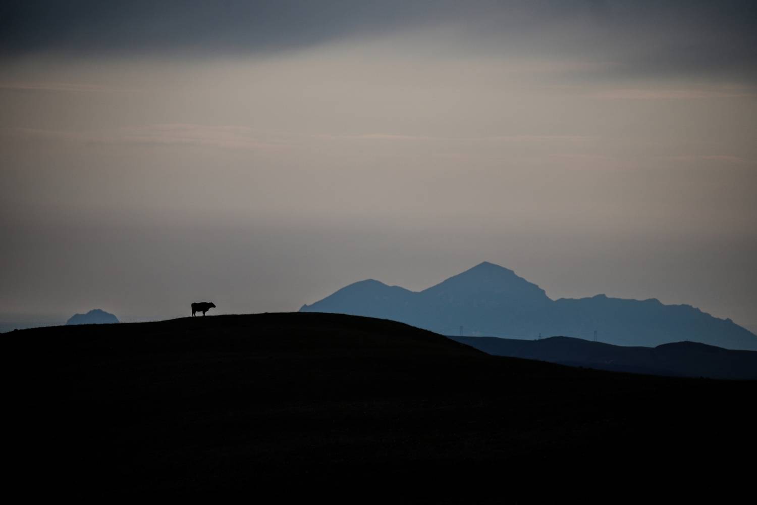 Photo #13645865