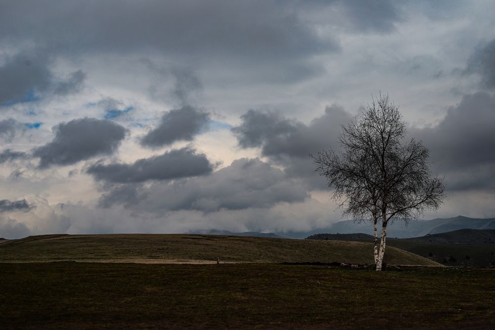 Фотография автора Максим Буров