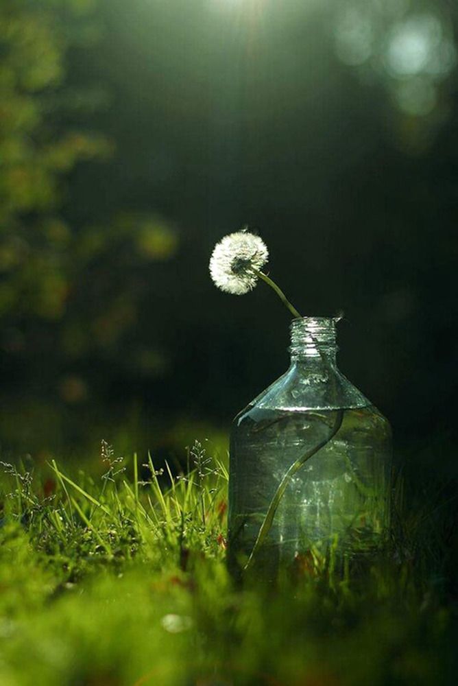 Photograph by Liliya Rodionova
