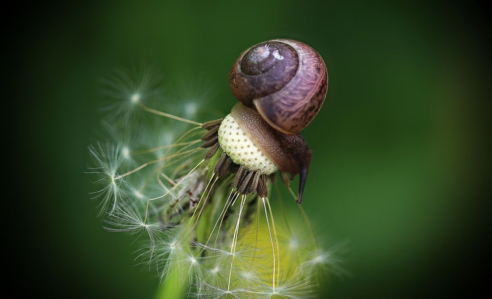 Photograph by Sergey