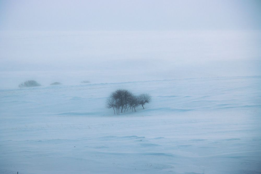 Photo #13645898