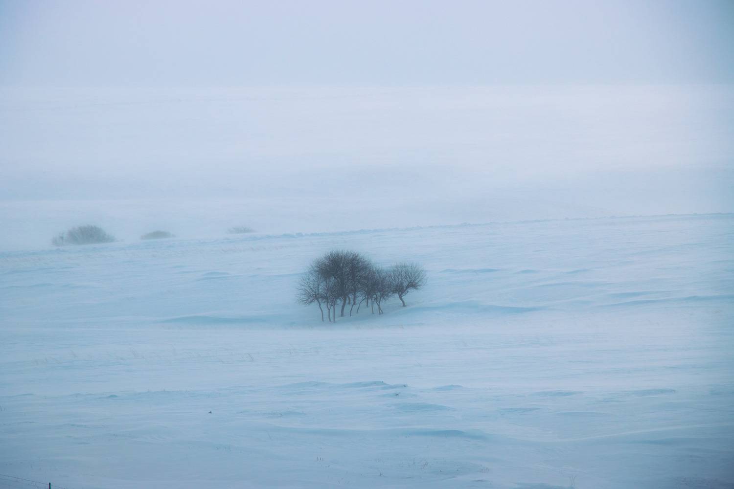 Photo #13645898