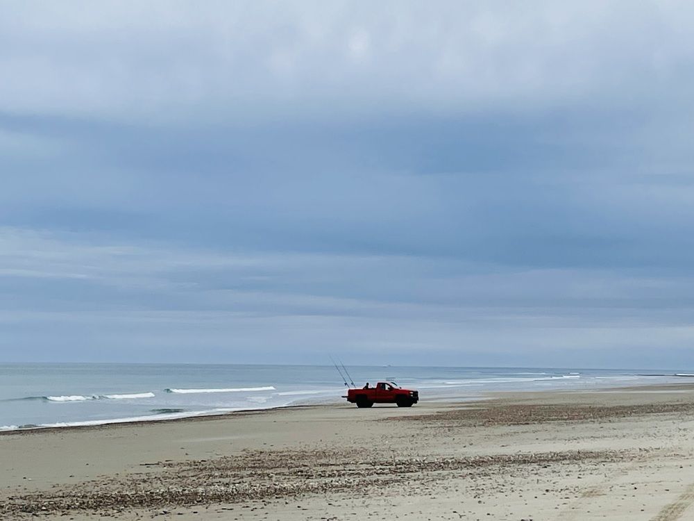 Photograph by Olga Andriuc