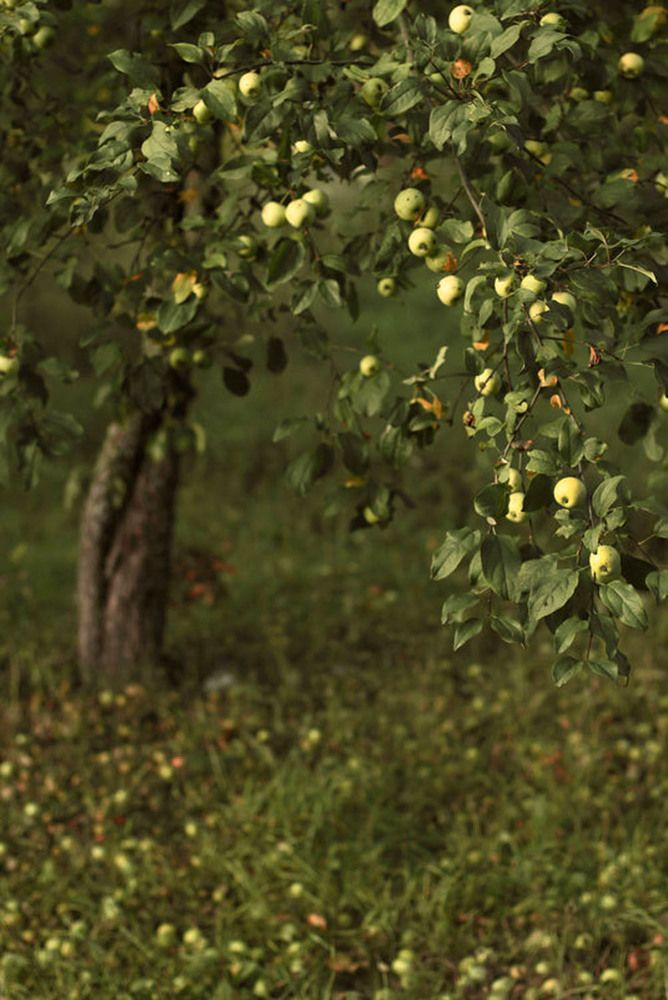 Photograph by Liliya Rodionova