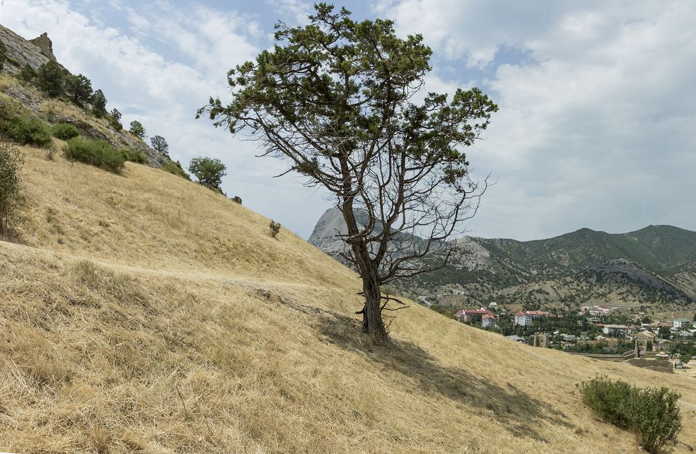 Photograph by Роман Гурененко