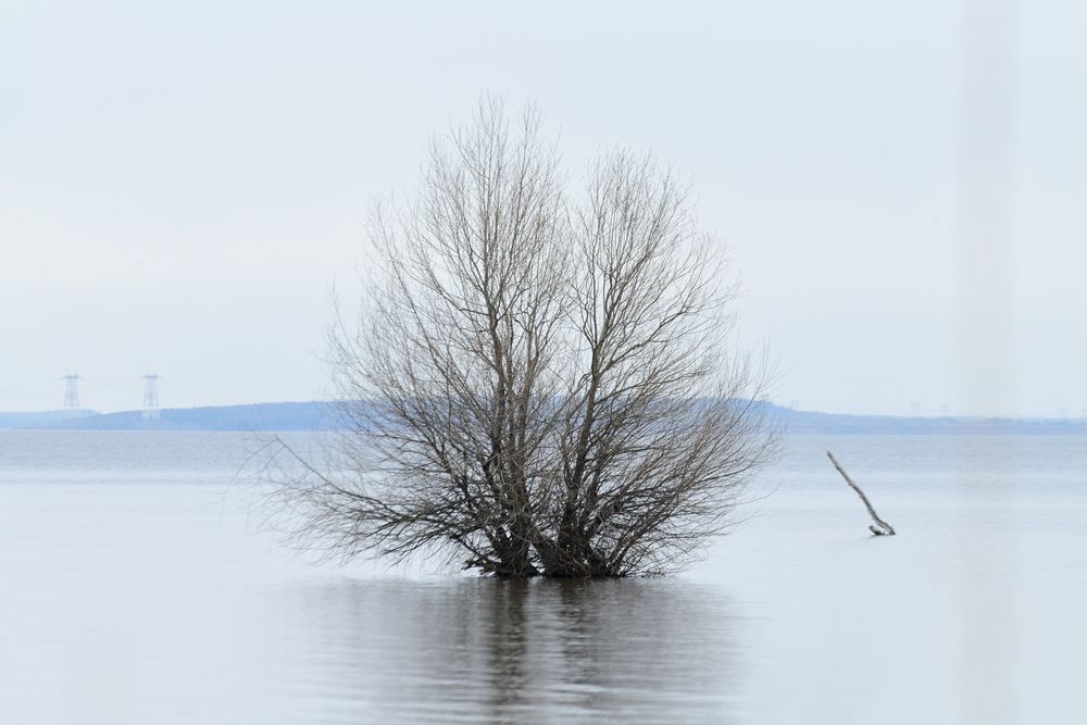 Photograph by Алексей Volg