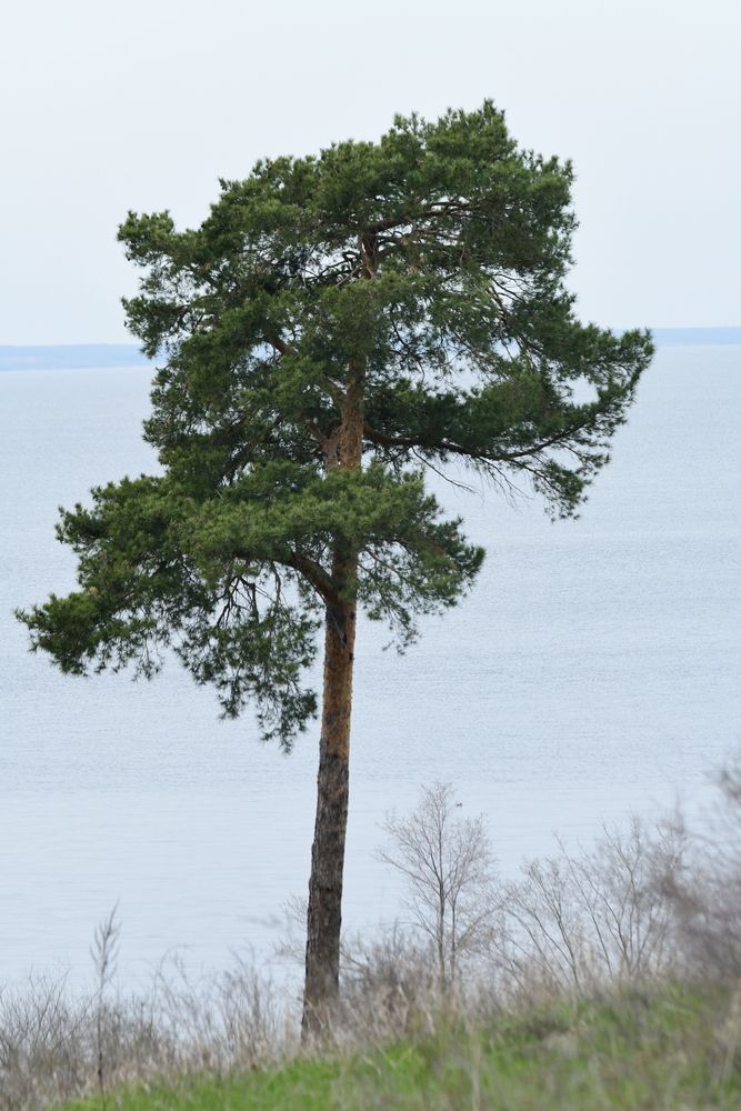 Photograph by Алексей Volg