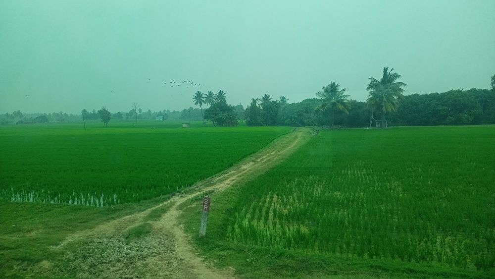 Photograph by Rubina Hasan